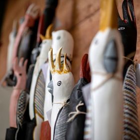 Marrawuddi Bird Exhibtion